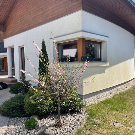 Apartament Przy Lesie Chojno-Blota Wielkie Екстериор снимка