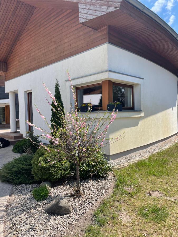 Apartament Przy Lesie Chojno-Blota Wielkie Екстериор снимка