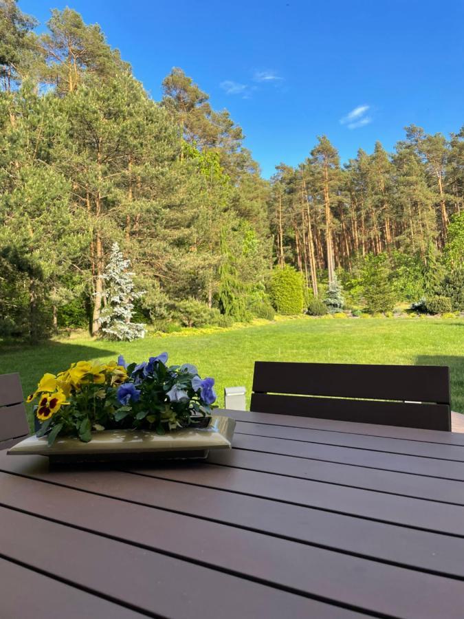 Apartament Przy Lesie Chojno-Blota Wielkie Екстериор снимка