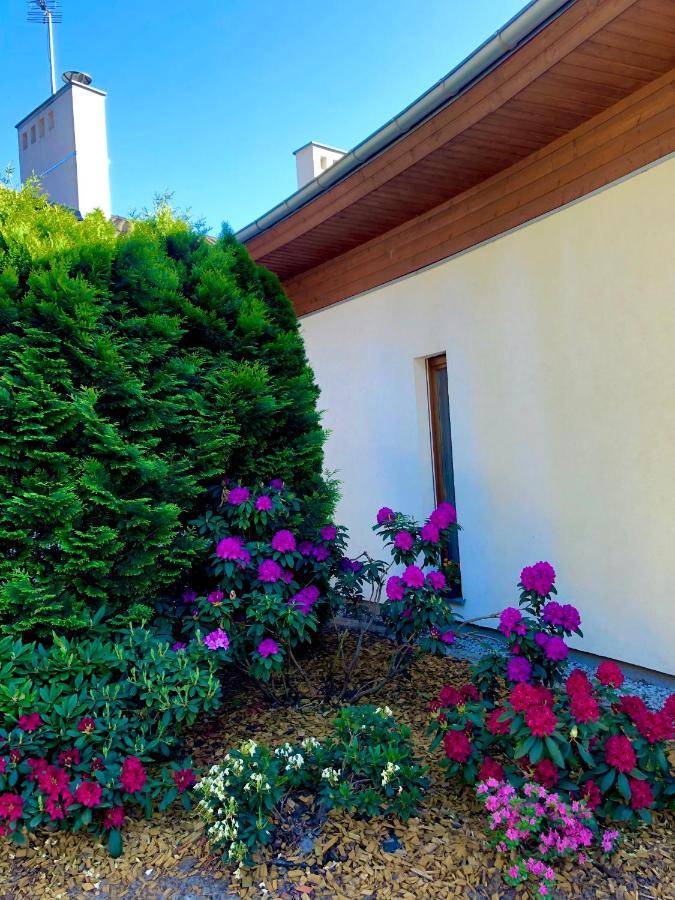 Apartament Przy Lesie Chojno-Blota Wielkie Екстериор снимка